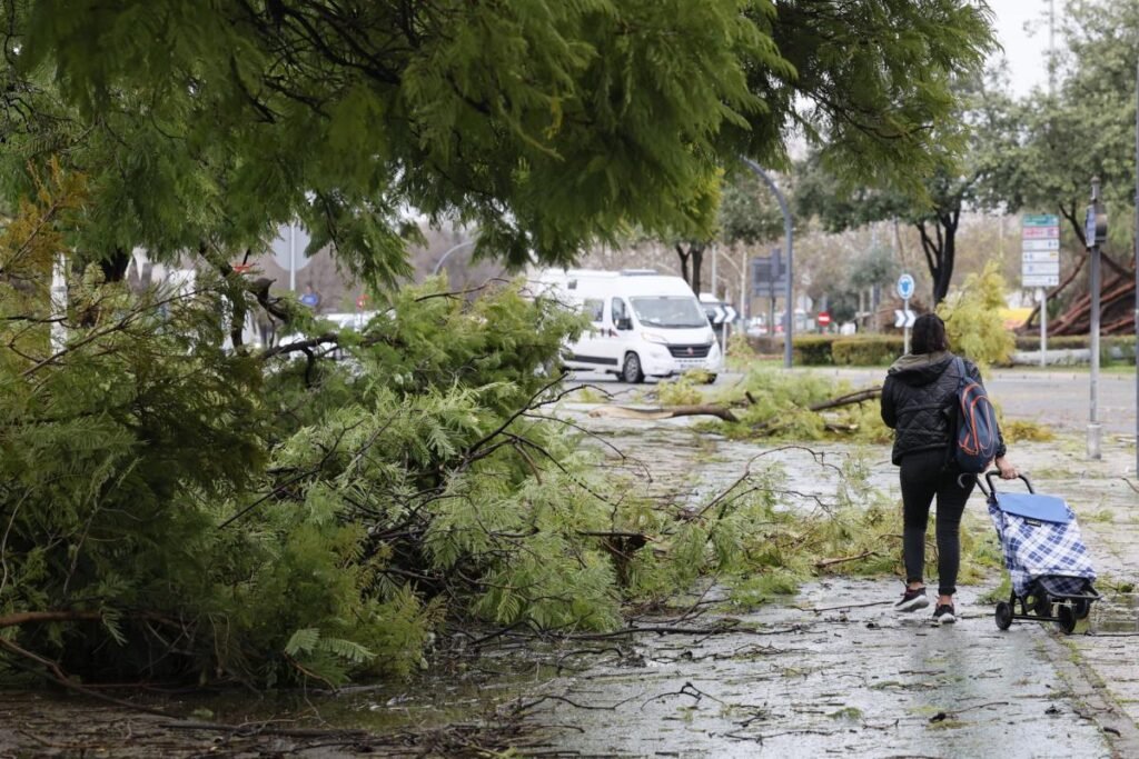 Calles inundadas por la alerta roja lluvia españa cancelacion clases 2026